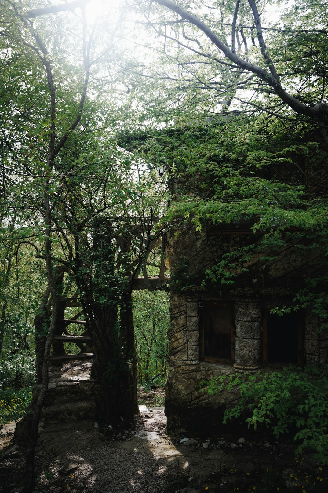 old ruins in forest