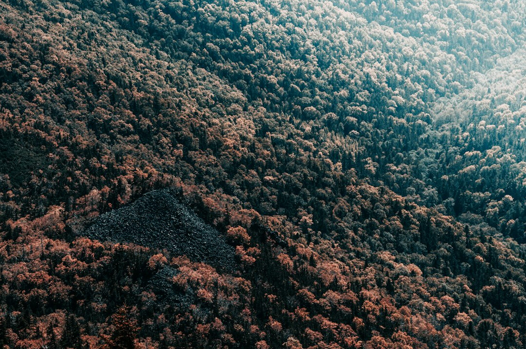 ancient pyramid hidden in forest