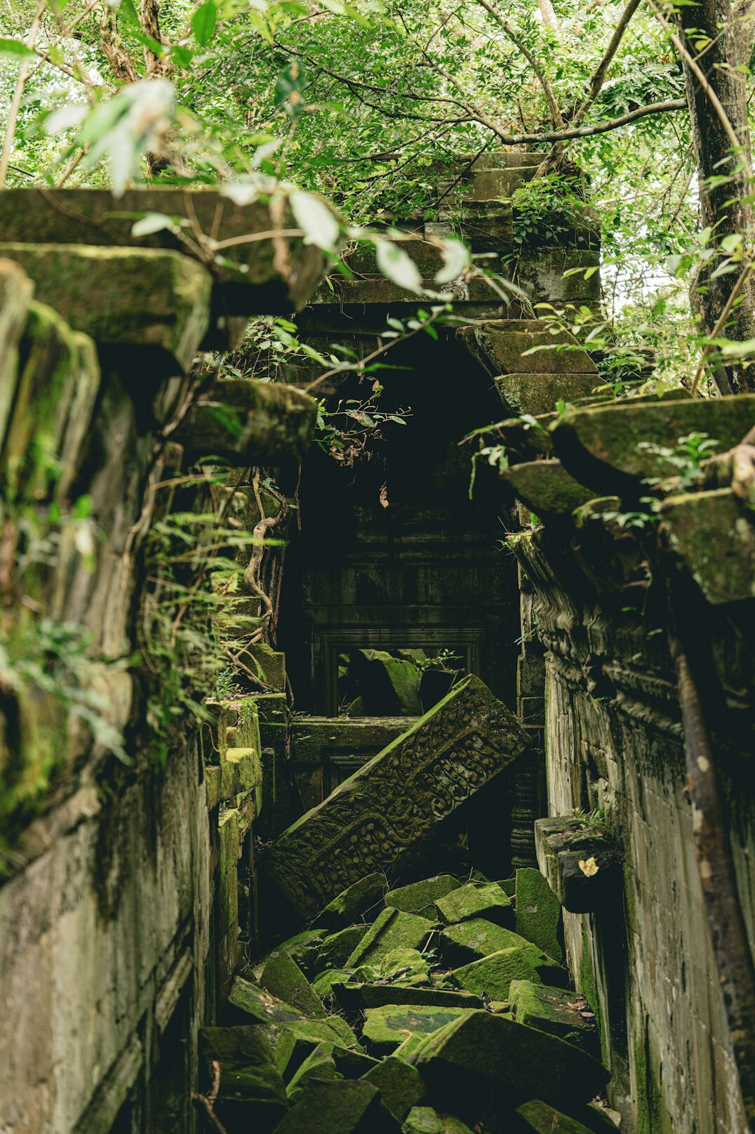 ancient ruins in jungle
